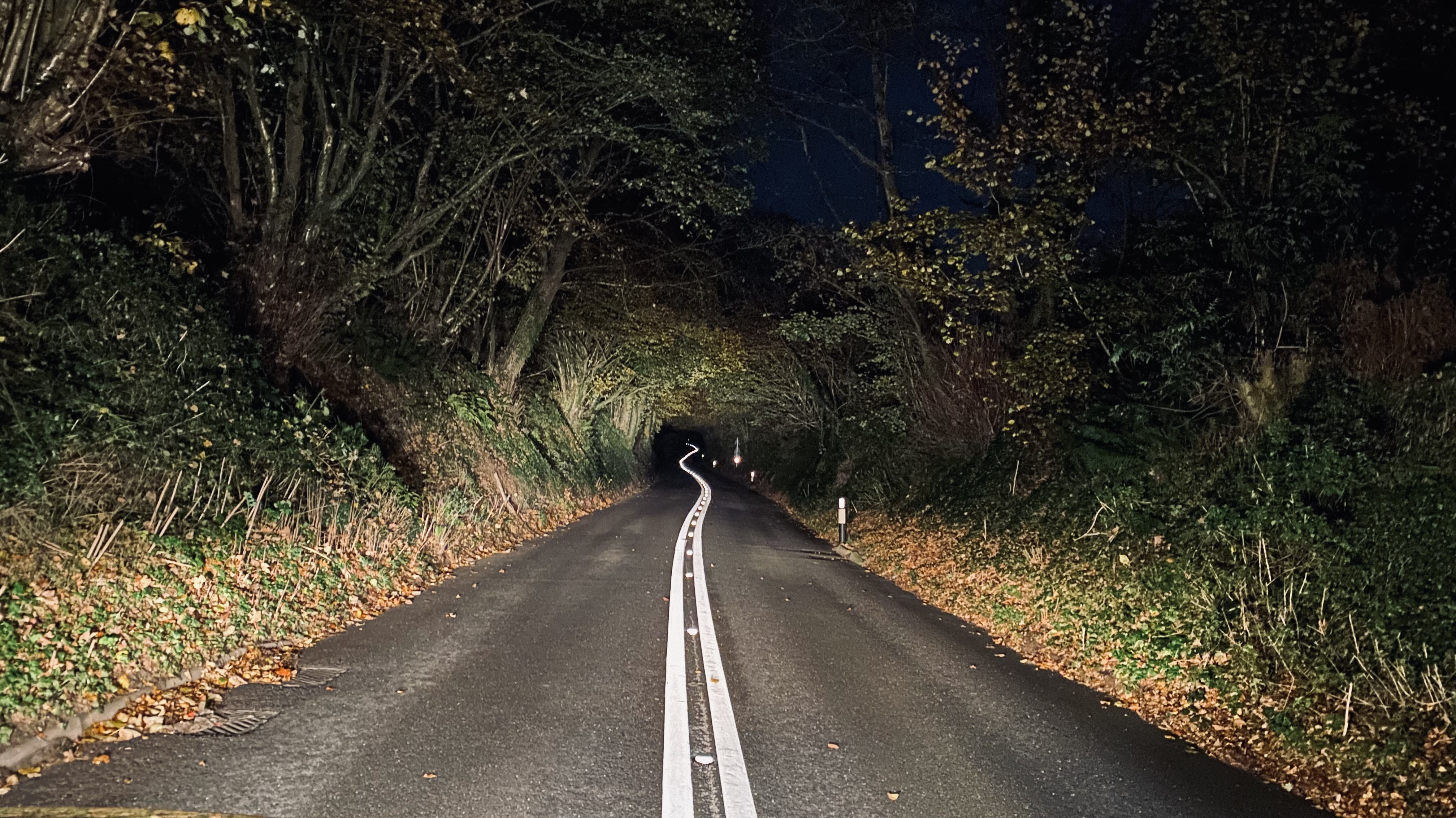 Country lanes at night