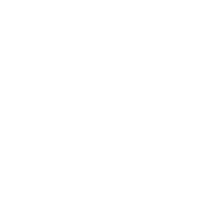 Determination Icon