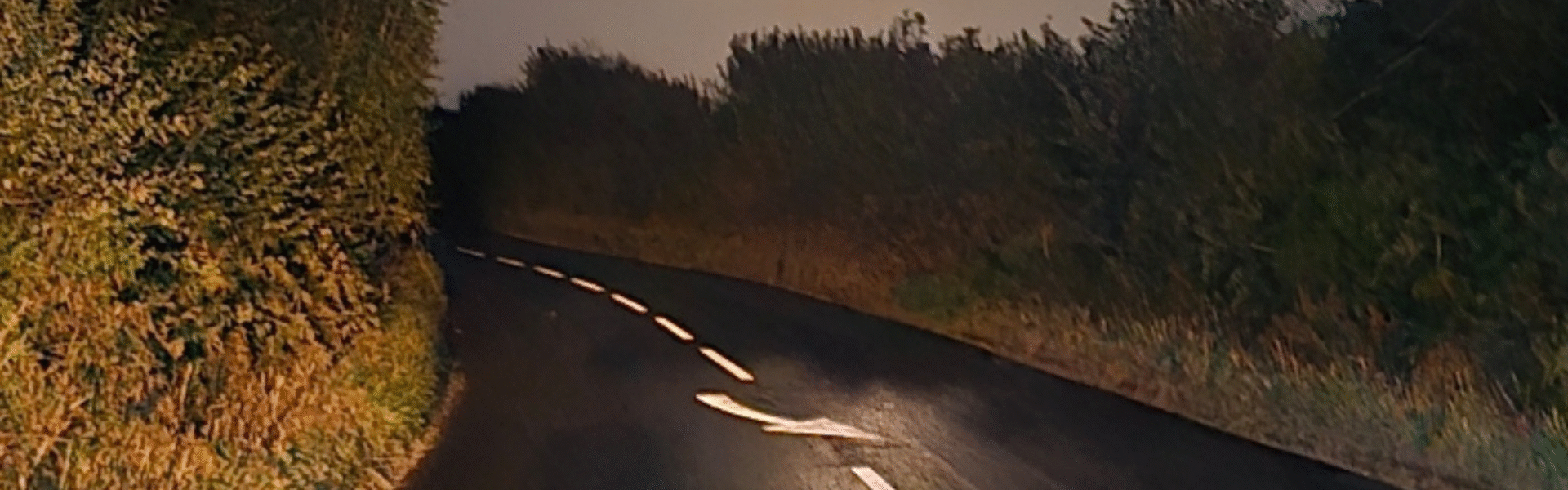 QMS line marking in moonlight